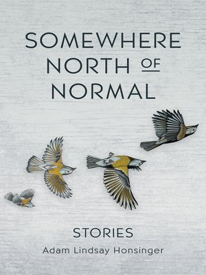 cover image of Somewhere North of Normal
